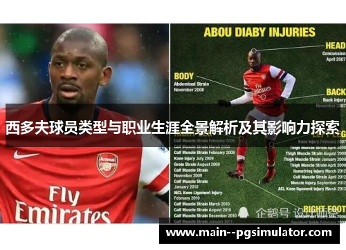 西多夫球员类型与职业生涯全景解析及其影响力探索