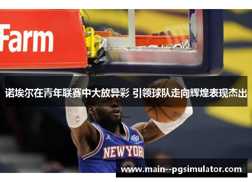 诺埃尔在青年联赛中大放异彩 引领球队走向辉煌表现杰出 诺埃尔在青年联赛中大放异彩 引领球队走向辉煌表现杰出