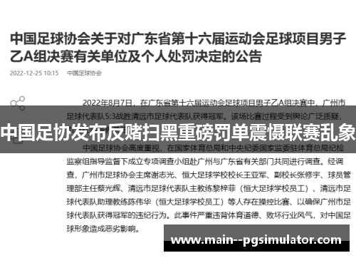 中国足协发布反赌扫黑重磅罚单震慑联赛乱象 中国足协发布反赌扫黑重磅罚单震慑联赛乱象